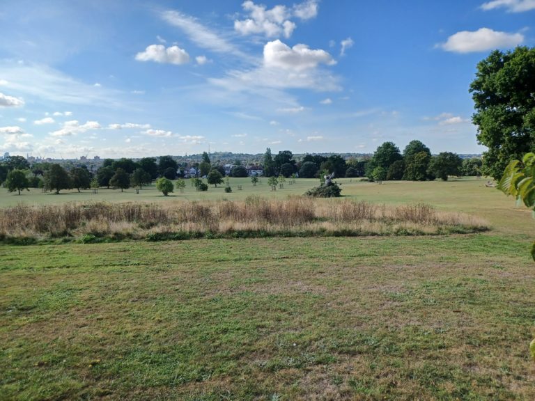 Image shows sunny scene with blue skies and only a few clouds over an expanse of green field parkland with broadleaf trees and a scattering on buildings in the distance
